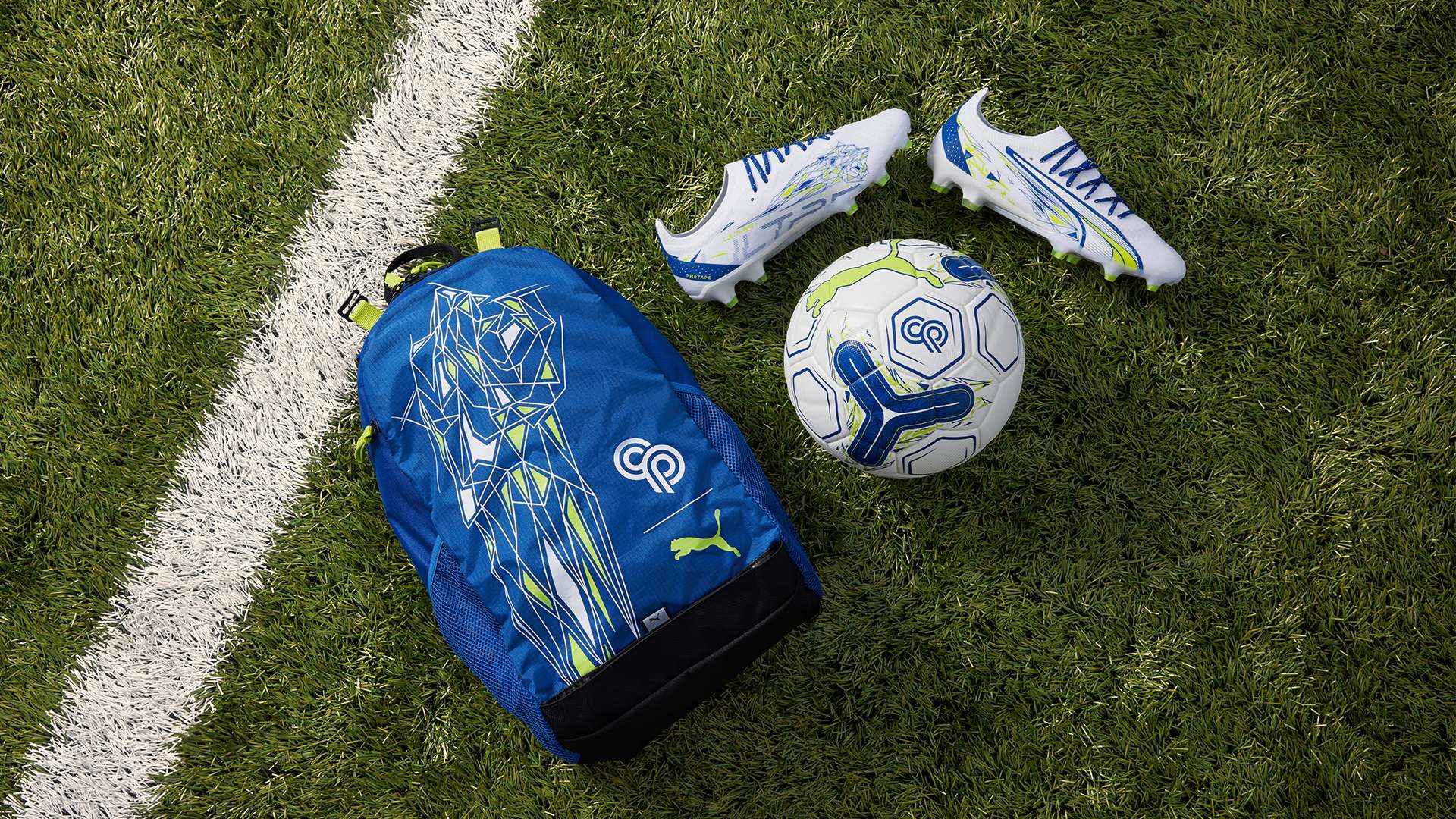 正式开启其 正式开启其